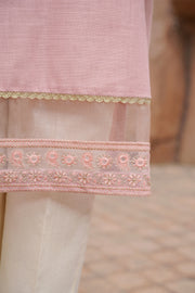 2 piece embroidered dress(stitched)