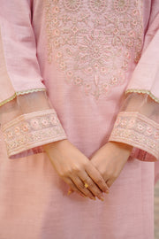 2 piece embroidered dress(stitched)